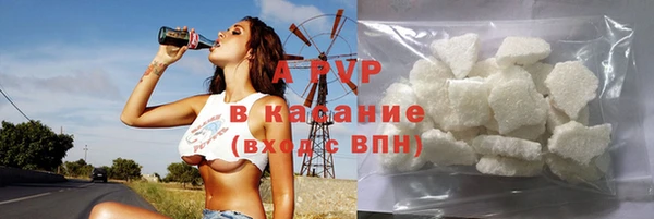 индика Алексин