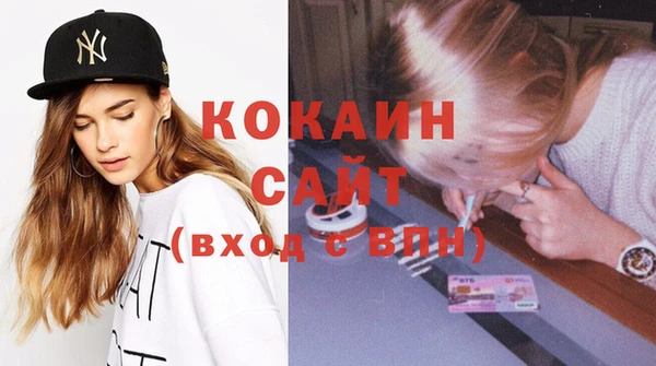 индика Алексин
