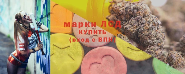 индика Алексин