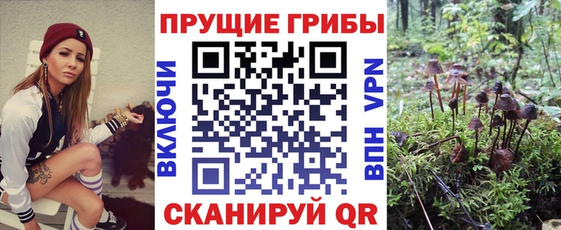 Галлюциногенные грибы мицелий  Брянск 
