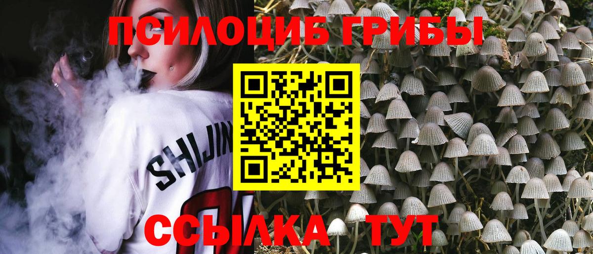 Галлюциногенные грибы GOLDEN TEACHER  Вход с VPN  Брянск  Галлюциногенные грибы Magic Shrooms 