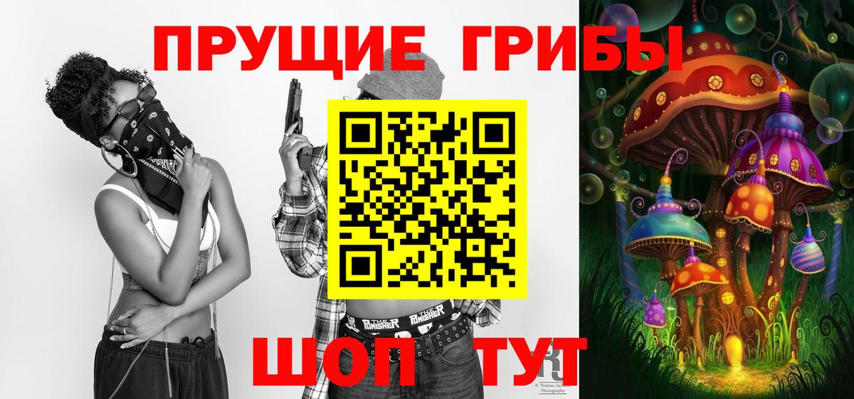 Псилоцибиновые грибы прущие грибы Брянск